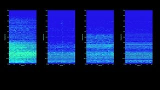 Orchestration Lecture II: Texture