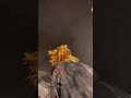 Sorrowsを叩くせきゆー