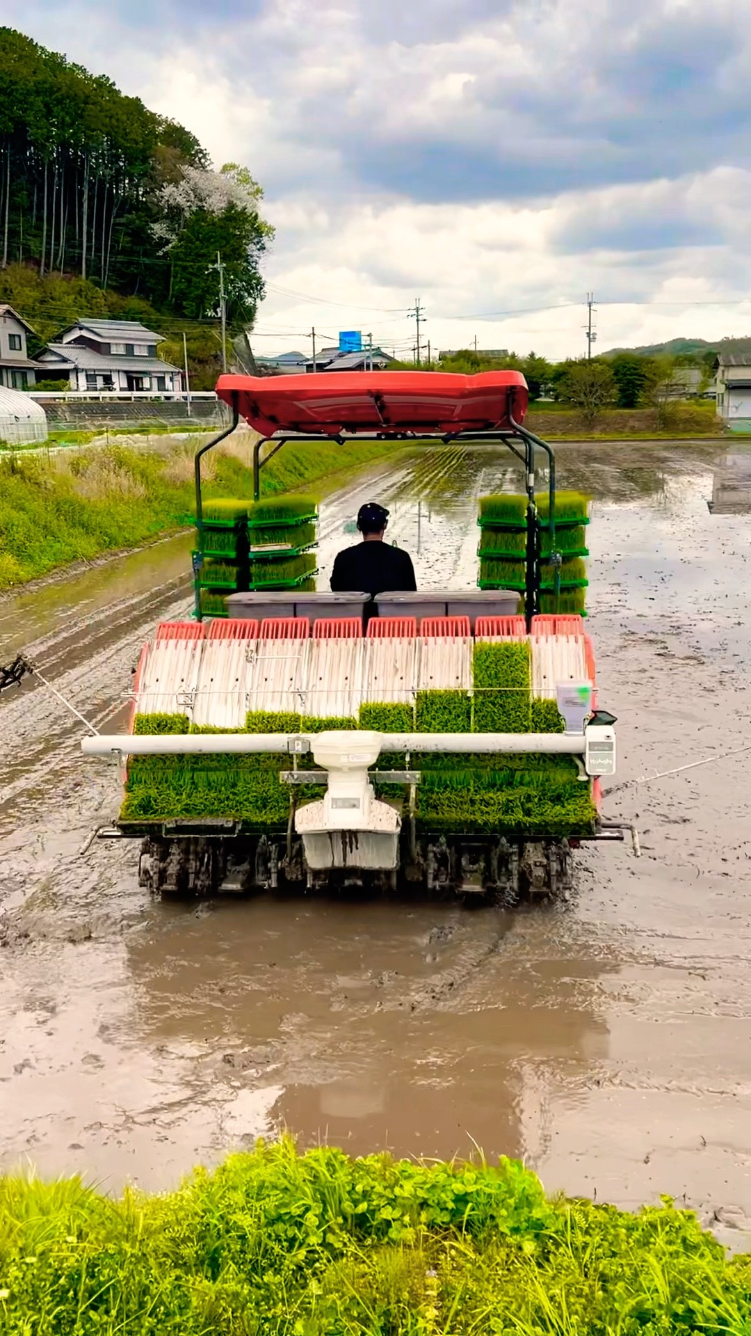 Kubota NW8S GS 田植え機 田植え作業#farming #現代農業 #automobile