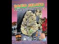 Bacio Gelato THCa Flower | Exotic Indoor | 32% Potency | Late Night Indica Hybrid | Bulk THCa #THCa