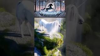 Unicorns: History, Myths, and Modern Interpretations
