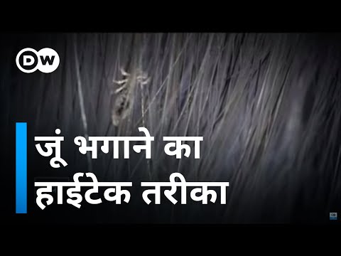 वीडियो: सिर की जूँ को रोकने के 4 तरीके