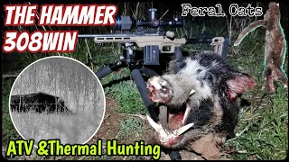 Shooting Pigs Cats & Foxes || Invasive Species Control || 308 Winchester || Thermion 2 XP50 Hunting