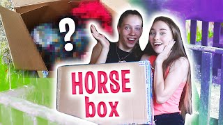 РАСПАКОВКА HORSE BOX 3 / Веревочная амуниция