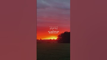 ❤️‍🩹المصحف الشريف❤️‍🩹 #تلاوة_خاشعة #المصحف