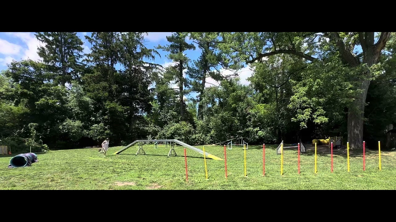 UKI At Home Week 145 Agility 2 80x60 Wren