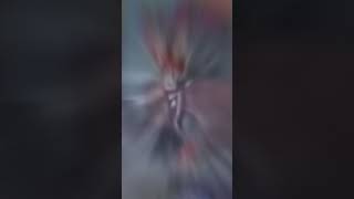 Chuck-E-Cheese Fan Cam