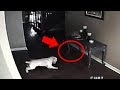 5 Dogs That Saw Something Their Owners Couldn't See : Ghosts, ESP, & Paranormal