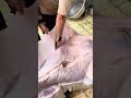يبلغ من العمر 30 عام كيفيه استخراج نقش اقوي تخطيط اهم اللحم البلدي الذكوره تطلع بقره طريقه سلخ