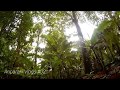 Sonido relajante de la SELVA AMAZÓNICA, Perú Puerto Mald/ THE BEST sounds of the Amazon Jungle, PERÚ
