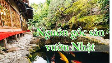 (P1) Hồ cá Koi và sân vườn Nhật Bản xuất hiện từ khi nào?