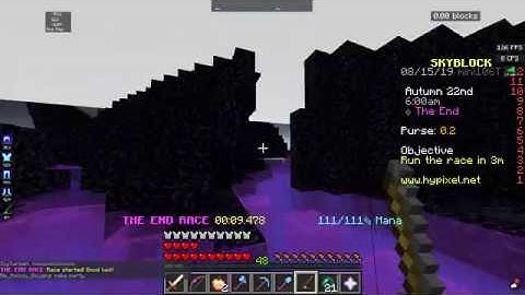 Minecraft Hypixel Skyblock | The End Race x2 | Bidding