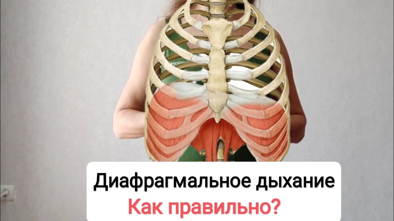 Что такое диафрагмальное дыхание? - YouTube