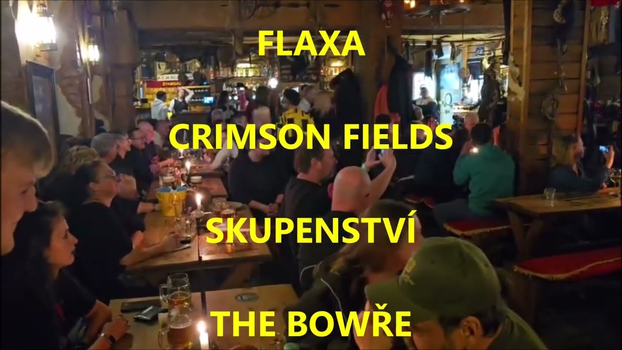 Vánoce pro pejsky, rok 2025