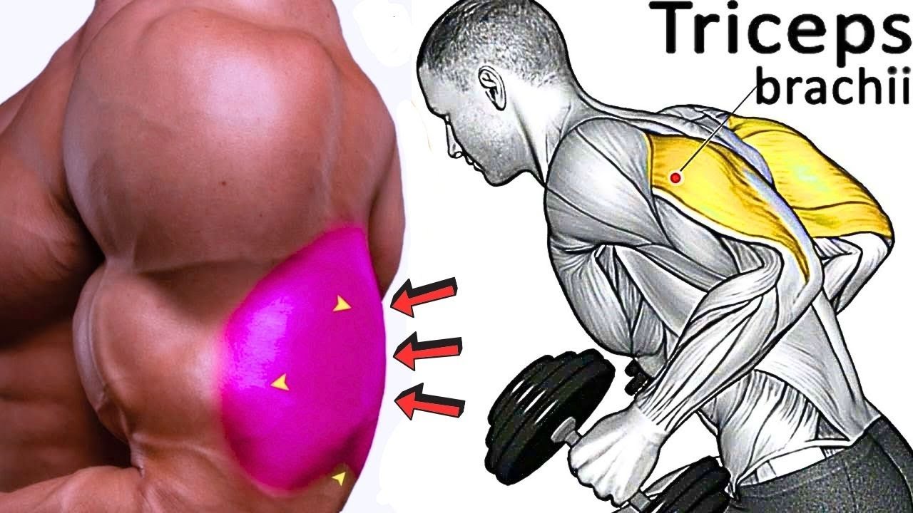 Exercises To Get Bigger Triceps Workout #triceps #bodybuilding - YouTube