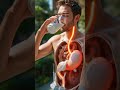 3D Human Digestion Animation 2| Parasite Worms Hcl Inside Intestine Educational Science Short part 2