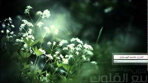 عاصم الهوساوي - سورة الإنسان -ربيع أول 1433 هـ