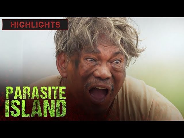 The Story of Golden Parasite | Parasite Island (With Eng Subs)