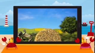 MAIN DStv Now Beach Ident