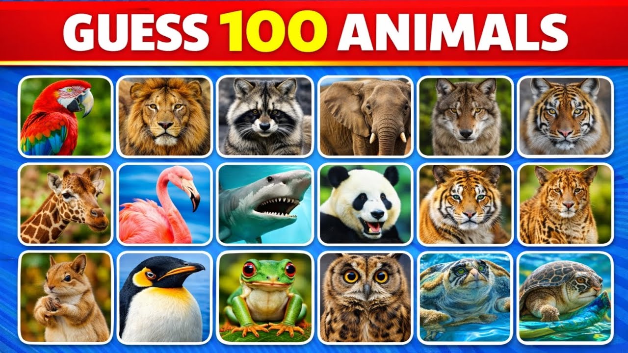Guess The Animal 🐾 | 100 Questions Challenge | Can You Score 100? #animal #animalquiz  #quiz #santa 