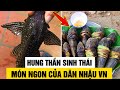 Cá Lau Kính - Kẻ Phá Huỷ Hệ Sinh Thái Bị Dân Việt Nam Cho Lên Bàn Nhậu Vì Quá Thơm Ngon