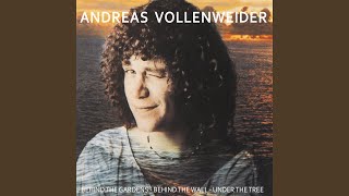 Video thumbnail of "Andreas Vollenweider - Pyramid - In the Wood - In the Bright Light (feat. Walter Keiser, Pedro Haldemann, Jon Otis)"