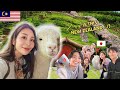 Is this really malaysia japanese first impressions of cameron highlands