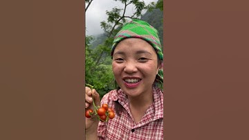 Một bữa cơm trưa 0 đồng của hai vợ chồng An ￼Ba #vochonganba #cuocsonghangngay #shorts