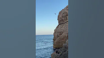 This Dive Off The Rocks Is Crazy 