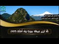 و ي س أ ل ون ك ع ن ال ج ب ال تلاوة قصيرة من سورة طه للقارئ والدكتور محمد أشرف هاشم