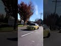 Nice Yellow