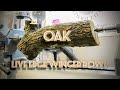 Woodturning a winged oak bowl great results
