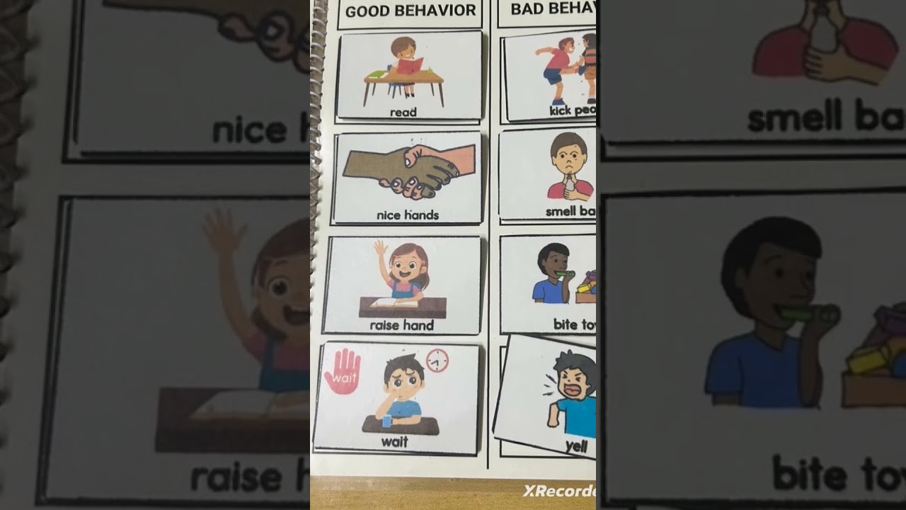 https://resourceforteacher.com/shop/sorting-good-and-bad-behaviour/