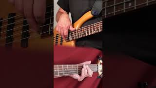 Reggae Bass // Like A Queen // John Brown's Body 😎 Basscover #bassist #jbb #likeaqueen #reggaebass