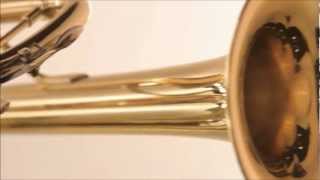 B.A.C. Student Trumpet Apprentice model by Best American Craftsman