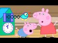 Peppa Pig English Episodes | Cuckoo Clock | Peppa Pig Official