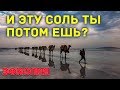 Эфиопия. Так добывают соль, которую вы потом едите