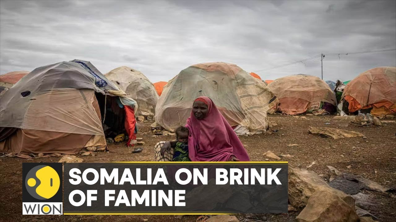 WION Climate Tracker | Ukraine war aggravates Somalia crisis