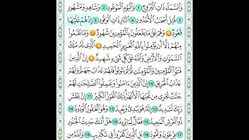 سورة البروج من 6 الى 9 مكررة