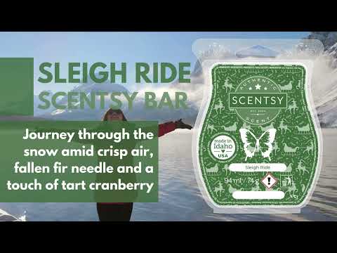 Best In Snow Scentsy Bar