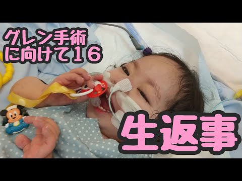 【生返事】グレン手術に向けて１６ (ゲロと下痢・・・)