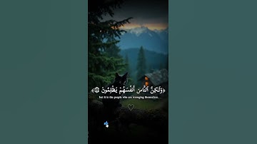 تلاوة خاشعة 🔥﴿أفأنت تهدى العمى ولو كانو لا يبصرون...﴾⛔ القارئ محمد ديبروف