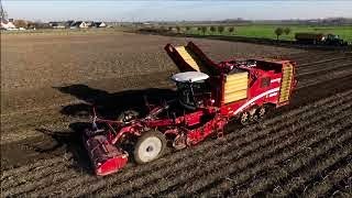 Harvesting potatoes with 3X Grimme Varitron