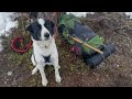 End of season camping