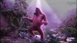 Download lagu Dj Tumba Goreng