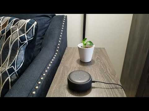 ALEXA, Sing a Love Song
