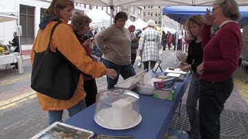 Cheese And Microbes (MWV28)