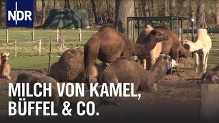 Tierisch andere Milch | Die Nordreportage | NDR Doku