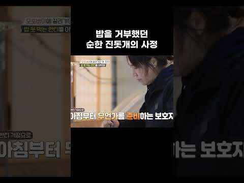 오토바이 끌려가던 진돗개 구출 그 후 #shorts