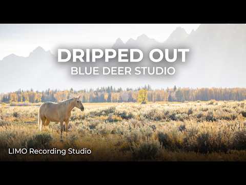 Blue Deer Studio - Dripped Out (No Copyright Music) | Inspiring Pop